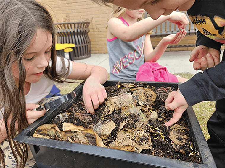 Children looking at worms in vermicomposting bin