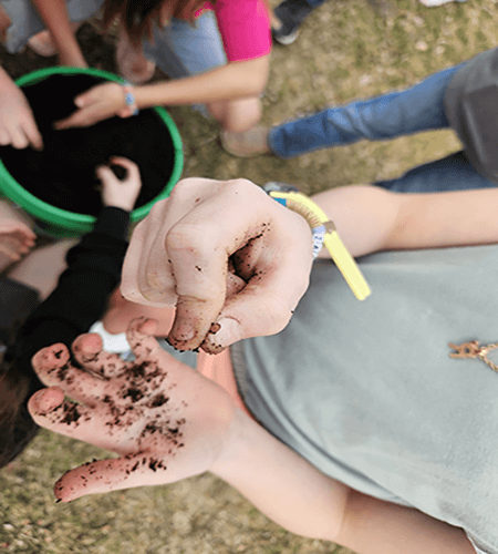 child's hands holding a worm cocoon with a bucket of black dirt