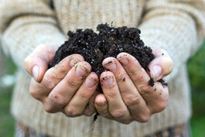 Compost has multiple benefits for farmer's soil.