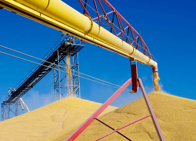 Grain elevator unloads corn.