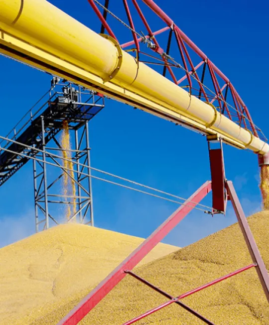 Grain elevator unloads corn.